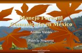 Manejo Forestal Comunitario en México