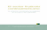 El sector frutícola centroamericano