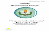 Proyecto Ambiental Jaureguista 2013-2020 Colegio ...