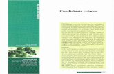 Candidiasis crónica - Dialnet