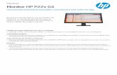 Monitor HP P22v G4