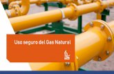 Uso seguro del Gas Natural - Mendoza