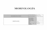 MORFOLOGÍA - archivos.ujat.mx