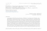 ISSN DOI:1.221clecm.vi.1 Artículo Fonética y fonología del ...