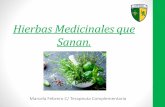 Hierbas Medicinales que Sanan.