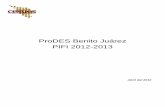 ProDES Benito Juárez PIFI 2012-2013