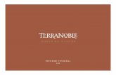 INFORME VENDIMIA - TerraNoble