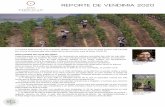 REPORTE DE VENDIMIA 2020 - Chocalan Wines
