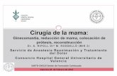 Cirugía de la mama - chguv.san.gva.es