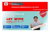 PRINCIPALES BENEFICIOS DE LA LEY MYPE