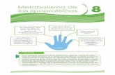 Metabolismo de las lipoproteínas 8