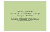 Anatomia veterinaria 1.1 - UniTE