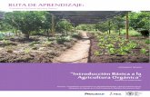 DOCUMENTO TÉCNICO “Introducción Básica a la Agricultura ...