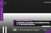 especializacion en Legislación Comercial y Financiera