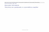 Decreto 231/2012 Técnico en peiteado e cosmética capilar