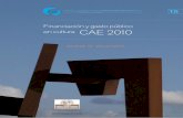 Financiación y gasto público en cultura CAE 2010
