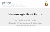 Hemorragia Post Parto - CERPO