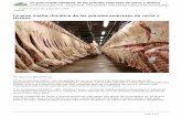 La gran huella climática de las grandes empresas de carne ...