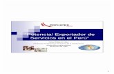 “Potencial Exportador de Servicios en el Perú”