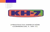 Proyecto Dirección comercial I. Kh-7