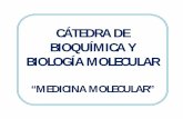 CÁTEDRA DE BIOQUÍMICA Y BIOLOGÍA MOLECULAR