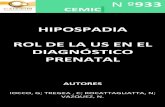 HIPOSPADIA ROL DE LA US EN EL DIAGNÓSTICO PRENATAL