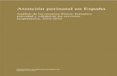 Atención perinatal en España - mscbs.gob.es