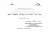 ELECCIÓN DE LA METODOLOGÍA DE DIRECCIÓN DE PROYECTOS …