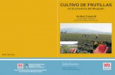 CULTIVO DE FRUTILLAS - repositorio.inta.gob.ar