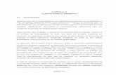 CAPÍTULO VI PLAN DE MANEJO AMBIENTAL 6.1 Generalidades