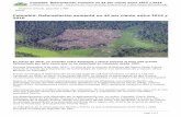 Colombia: Deforestación aumentó un 44 por ciento entre ...