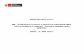 REPORTE ESTADÍSTICO ACC/10-13 PERÚ –VÍAS NACIONALES ...