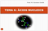 TEMA 6: ÀCIDS NUCLEICS