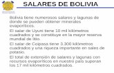 SALARES DE BOLIVIA - Un