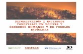 deforestación e incendios forestales en Bolivia y derechos ...