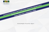 2020-013 Estrategia Puente Agro - sepsa.go.cr