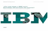 ¿Por qué elegir a IBM como proveedor de servicios de soporte?