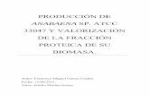 Producción de Anabaena sp. ATCC 33047 y valorización de la ...