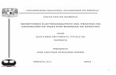 MONITOREO ELECTROANALÍTICO PROCESO ADSORCIÓN Pb(II ...