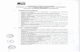 CONCURSO DE CAS N° 333-2010-OSCE Contratación de ...