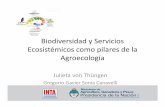 Biodiversidad y Servicios Ecosistémicoscomo pilares de la ...