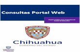 Consultas Portal Web