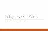 Indígenas en el Caribe