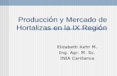 Producción y Mercado de Hortalizas en la IX Región