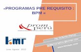 BPM - Comisión de Promoción del Perú para la ...