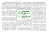 FIJACION BIOLOGICA NITROGENO
