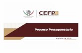 Proceso Presupuestario - CEFP
