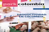 INDICADORES DE PRODUCTIVIDAD EN COLOMBIA,