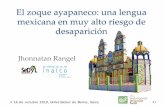 El zoque ayapaneco: una lengua mexicana en muy alto riesgo ...