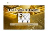 Las Lomas de Casma - Miscon Group